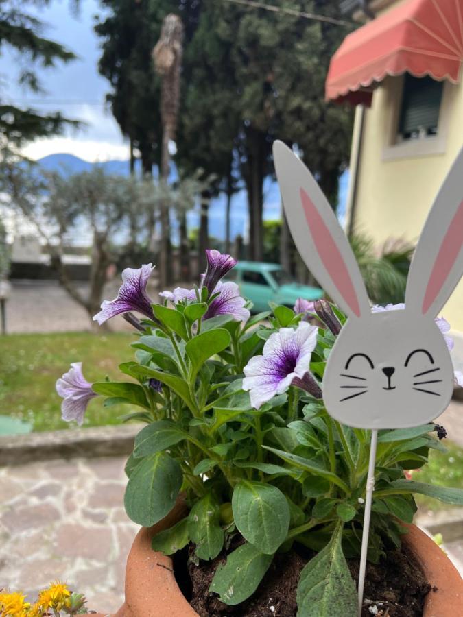 Villa Corteolivo Rooms توري ديل بيناكو المظهر الخارجي الصورة